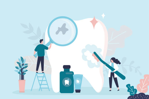Professional Dental Services in Lakewood Park, FL